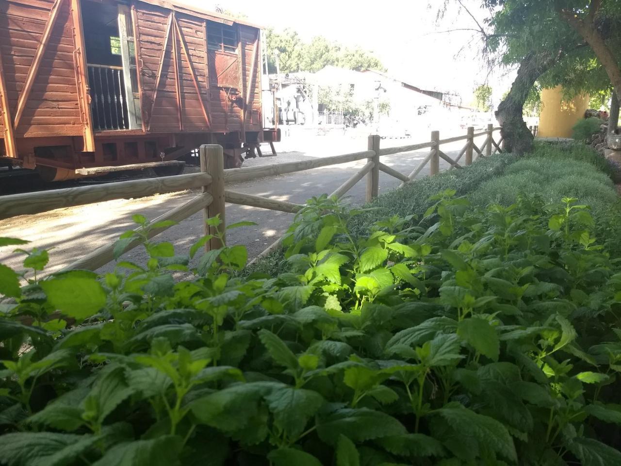 فندق Hostal Nicol'S Luque المظهر الخارجي الصورة