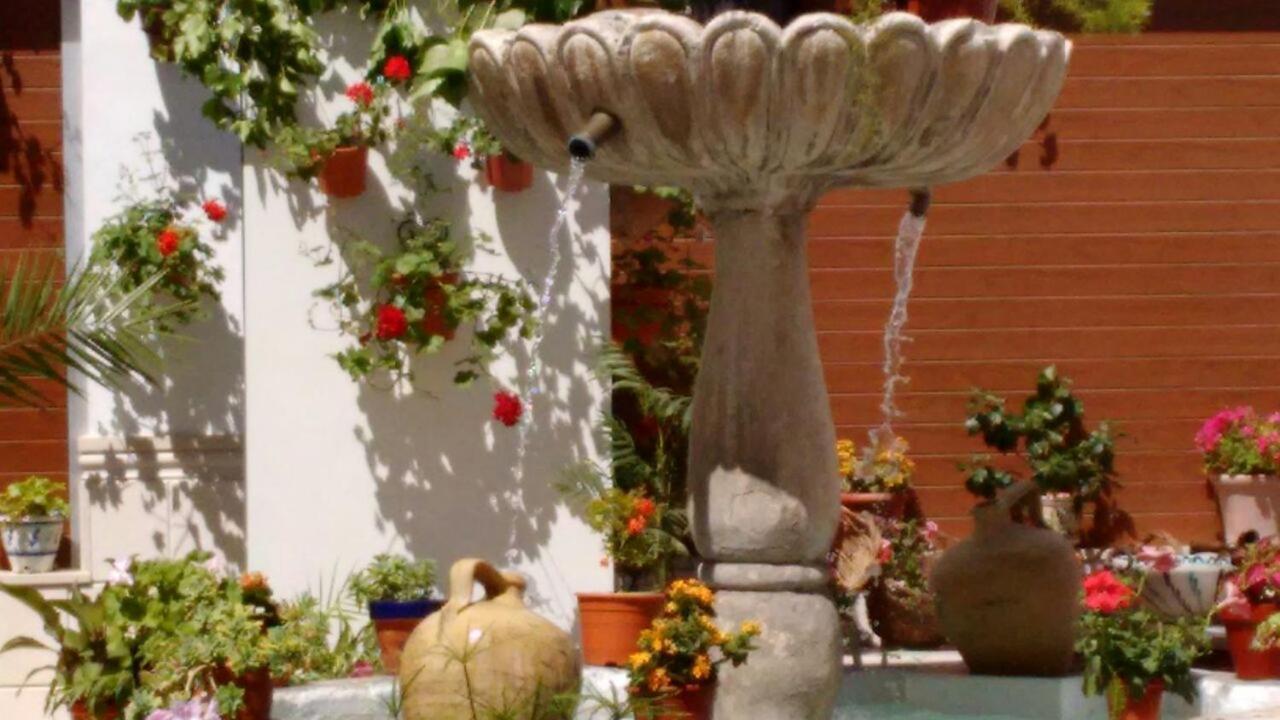 فندق Hostal Nicol'S Luque المظهر الخارجي الصورة